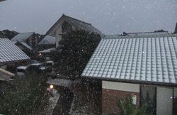 DSCF0991