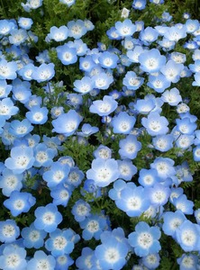 IMG00379