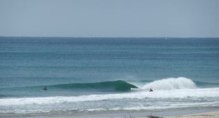 DSCF0214