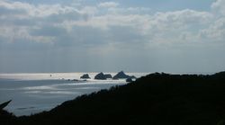 dscf1736.jpg