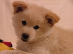 dscf2697.jpg