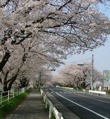 dscf2886.jpg