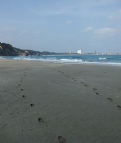 DSCF2446
