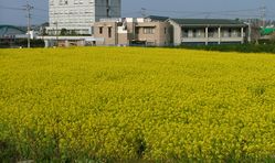dscf2877.jpg