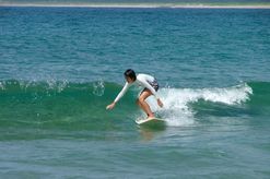 dscf3088.jpg