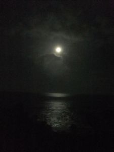 DSCF1655