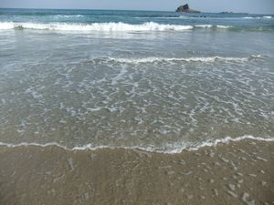 DSCF2442