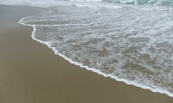 DSCF0411
