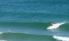 dscf2138.jpg