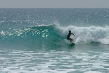 dscf3795.jpg