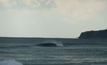 DSCF2036