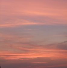 DSCF1696