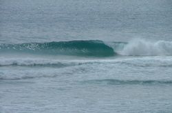 dscf2411.jpg