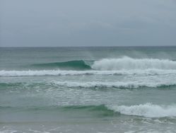 dscf1790.jpg