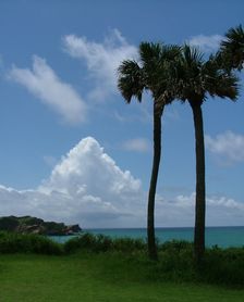 dscf2116.jpg