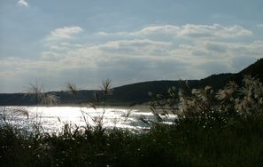 dscf2570.jpg