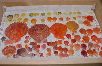 dscf1552.jpg