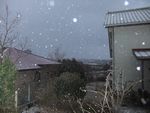 DSCF0993