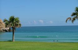 dscf3073.jpg