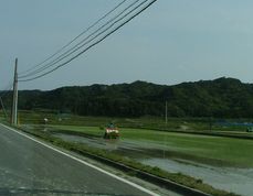 DSCF4719