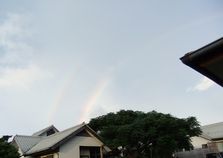 DSCF0659