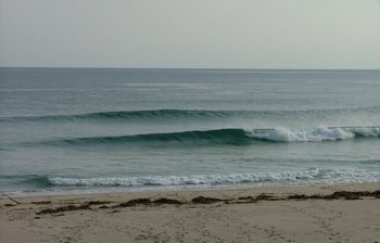 dscf1572.jpg