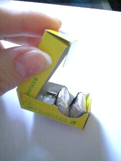 img20080227_2.jpg