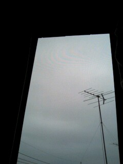 img20070829.jpg