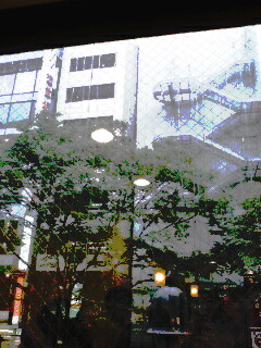 img20090531_1.jpg