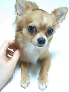 img20070630.jpg