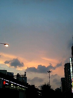 img20080729.jpg