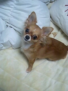 img20071231.jpg