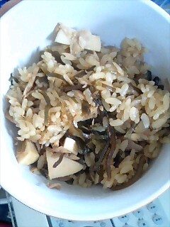 img20090428.jpg