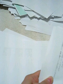 img20071029.jpg