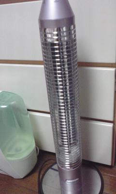 img20090228.jpg