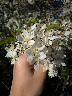 e5c53820.jpg