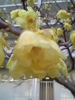 080229_074525_M.jpg
