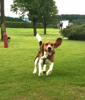 __09092 のリサイズ画像