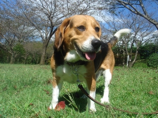 img20061008.jpg