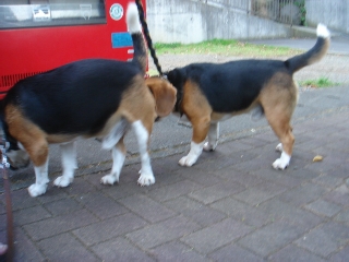 img20060821_3.jpg