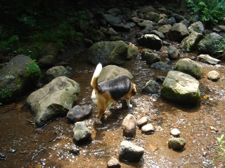 img20050723.jpg