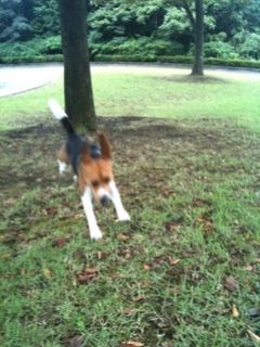 __09091 のリサイズ画像