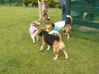 img20050914.jpg