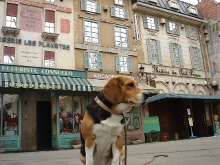 img20060227_2.jpg