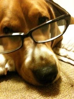 megane