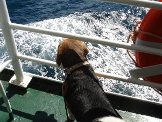 img20060320_1.jpg