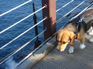 img20060622_2.jpg