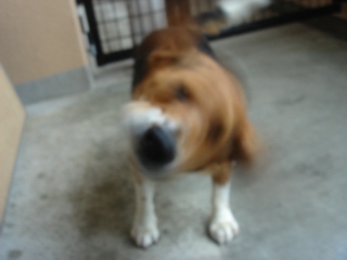 img20060720_1.jpg