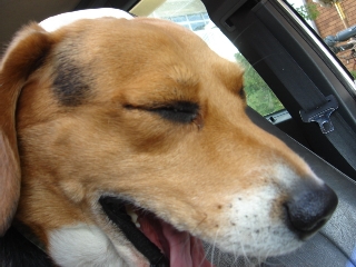 img20060315_1.jpg