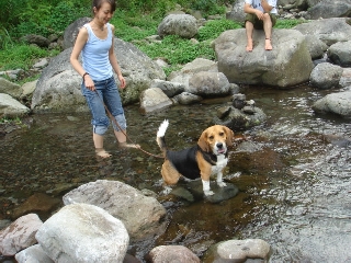 img20060821_1.jpg